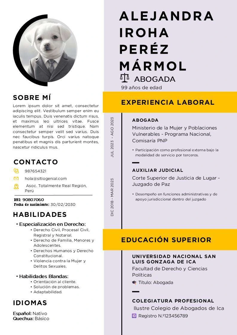 Ejemplo Paquete Currículums Editables