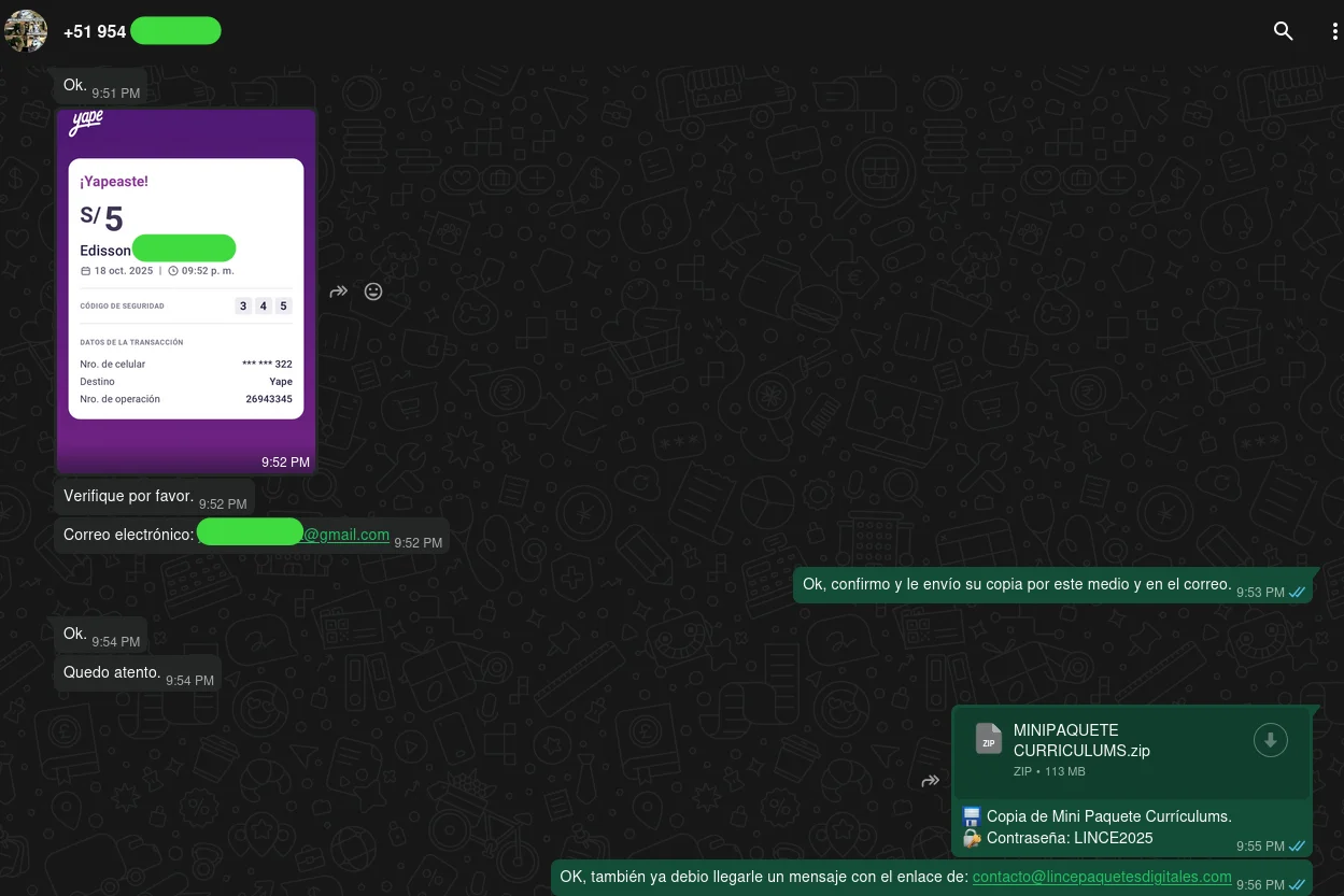 Pago y Entrega Mini Paquete de Curriculums